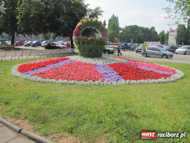 Zdjęcie w galerii na portalu naszraciborz.pl: Racibórz rozkwita... wiadomości z regionu