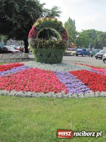 Zdjęcie w galerii na portalu naszraciborz.pl: Racibórz rozkwita... wiadomości z regionu
