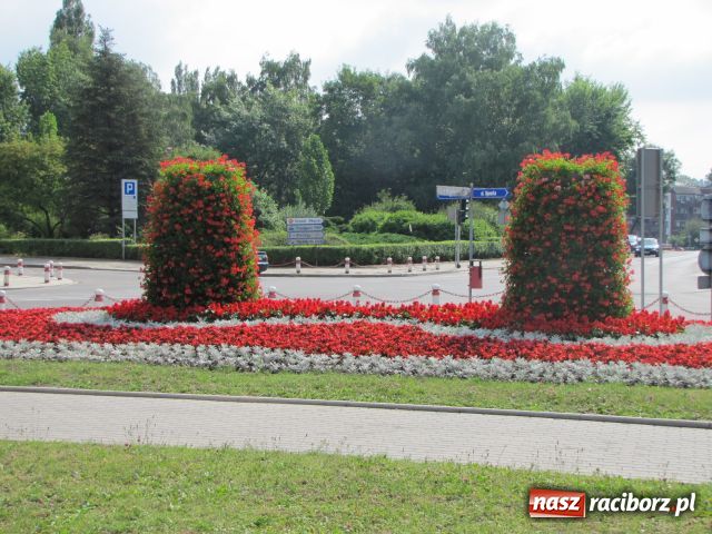 Zdjęcie w galerii na portalu naszraciborz.pl: Racibórz rozkwita... wiadomości z regionu