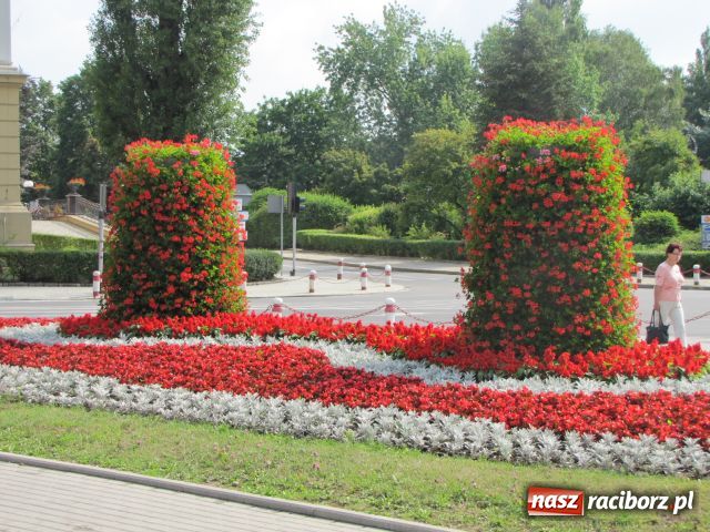 Zdjęcie w galerii na portalu naszraciborz.pl: Racibórz rozkwita... wiadomości z regionu