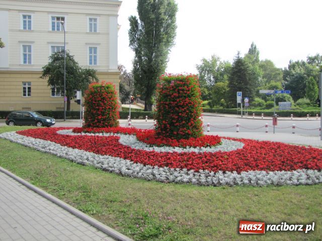 Zdjęcie w galerii na portalu naszraciborz.pl: Racibórz rozkwita... wiadomości z regionu