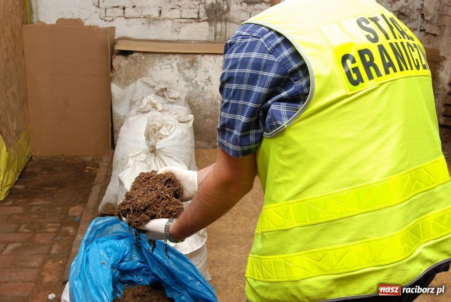 Zdjęcie w galerii na portalu naszraciborz.pl: ŚOSG: Zatrzymano blisko 700 kg tytoniu wiadomości z regionu
