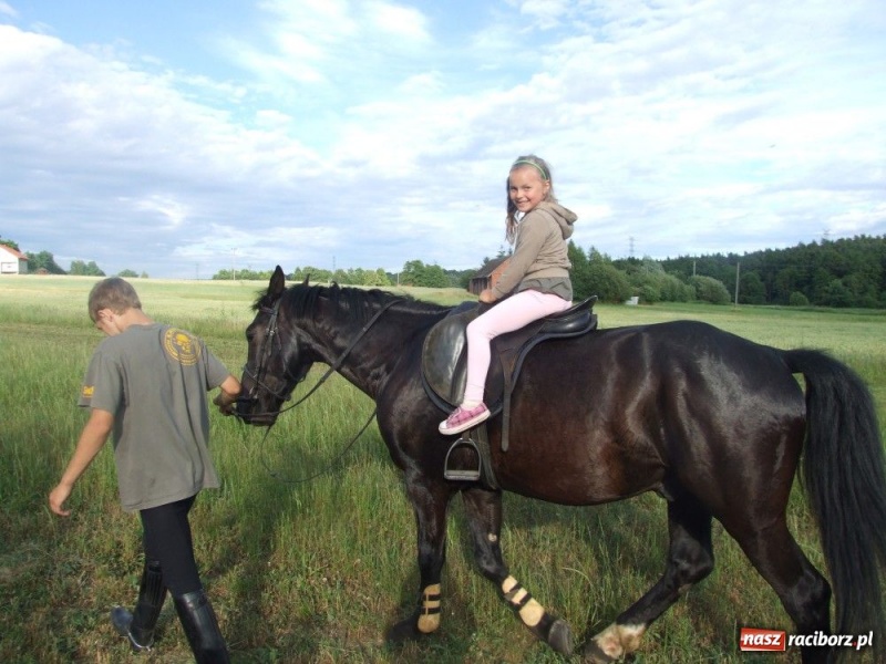Zdjęcie w galerii na portalu naszraciborz.pl: Najmłodsi Łamatorzy zakończyli sezon wiadomości z regionu