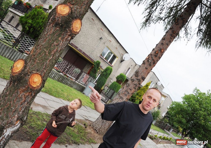 Zdjęcie w galerii na portalu naszraciborz.pl: Przyjechali, obcięli i pojechali wiadomości z regionu