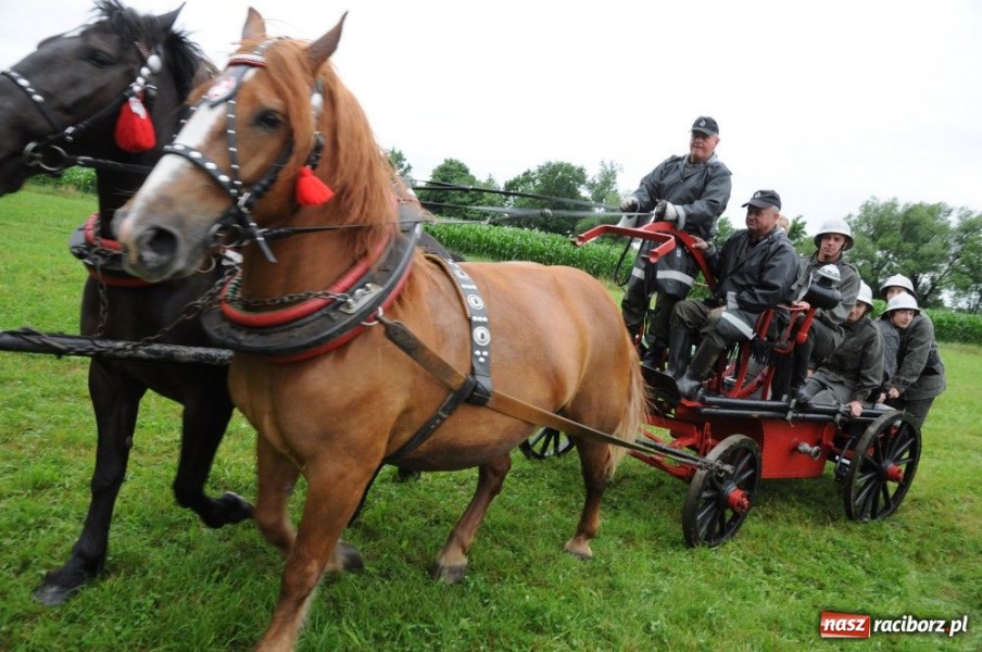 Zdjęcie w galerii na portalu naszraciborz.pl: W Bieńkowicach walczyli na sikawkach wiadomości z regionu