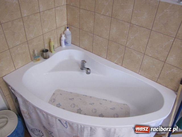 Zdjęcie w galerii na portalu naszraciborz.pl: Psie metamorfozy wiadomości z regionu