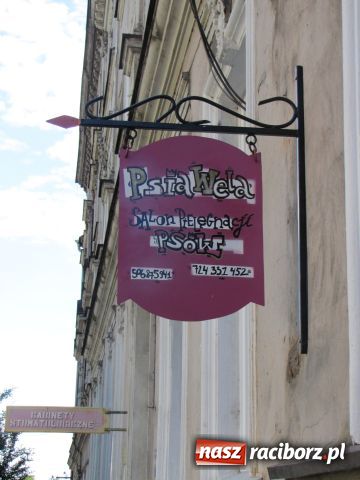 Zdjęcie w galerii na portalu naszraciborz.pl: Psie metamorfozy wiadomości z regionu