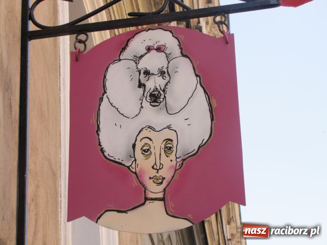 Zdjęcie w galerii na portalu naszraciborz.pl: Psie metamorfozy wiadomości z regionu