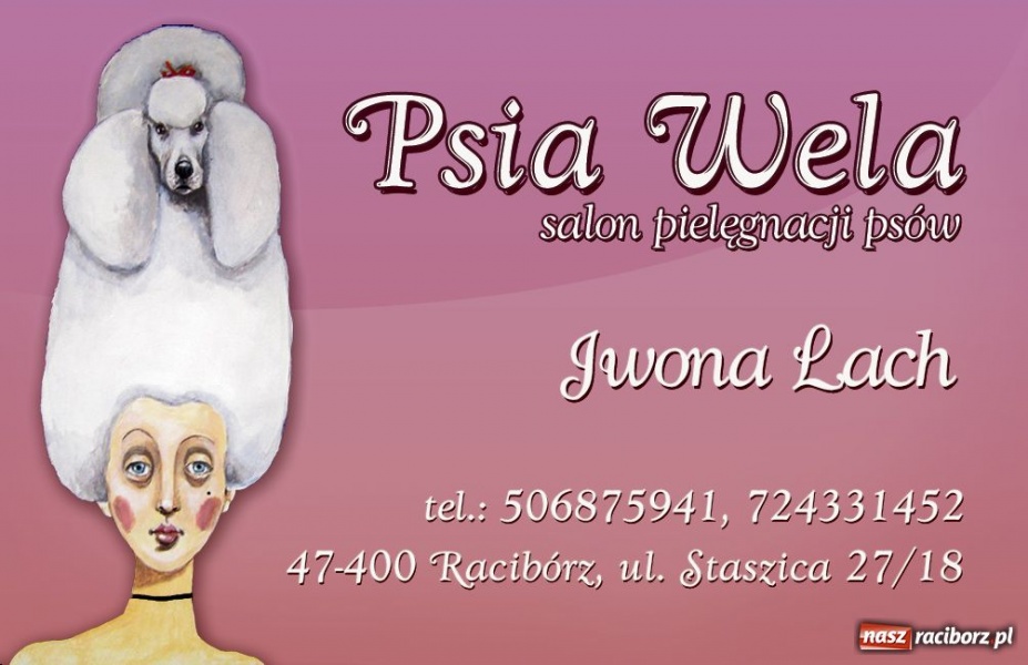Zdjęcie w galerii na portalu naszraciborz.pl: Psie metamorfozy wiadomości z regionu