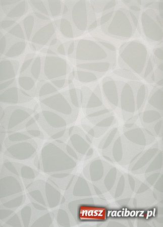 Zdjęcie w galerii na portalu naszraciborz.pl: Nowości w Firmie AIMMS wiadomości z regionu