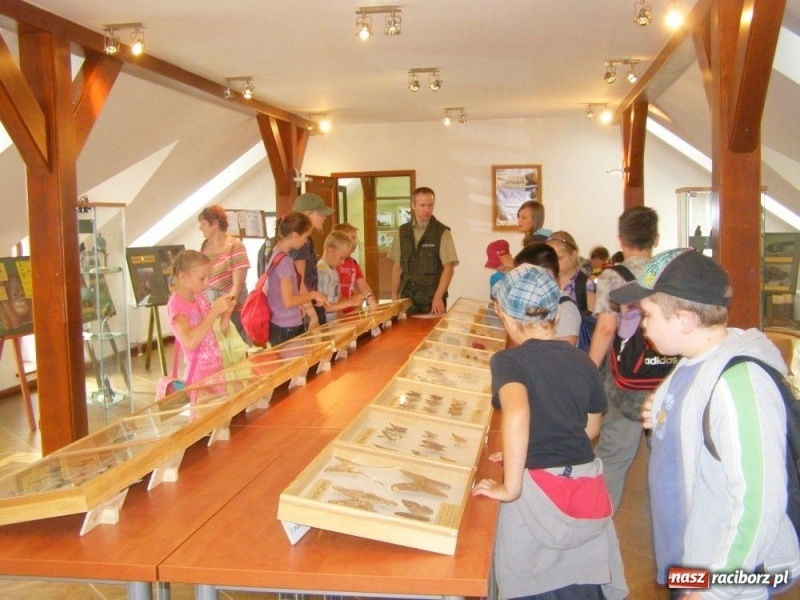 Zdjęcie w galerii na portalu naszraciborz.pl: Wyjazdowy piknik pod baobabem wiadomości z regionu