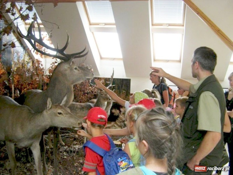 Zdjęcie w galerii na portalu naszraciborz.pl: Wyjazdowy piknik pod baobabem wiadomości z regionu