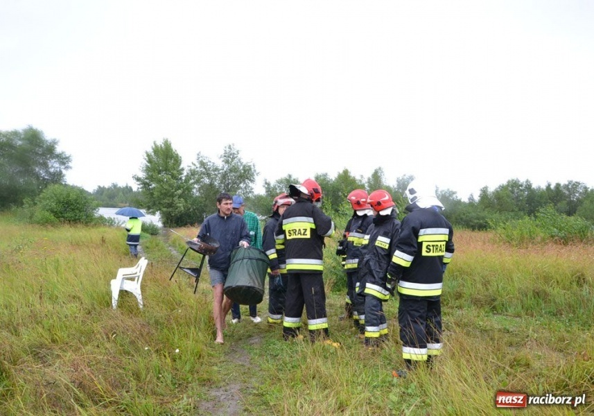 Zdjęcie w galerii na portalu naszraciborz.pl: Odra zaskoczyła wędkarzy w polderze wiadomości z regionu