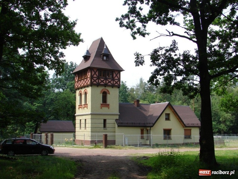 Zdjęcie w galerii na portalu naszraciborz.pl: Thiergarten i jego tajemnice wiadomości z regionu