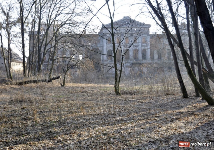 Zdjęcie w galerii na portalu naszraciborz.pl: Sławików czeka na swojego Disneya wiadomości z regionu