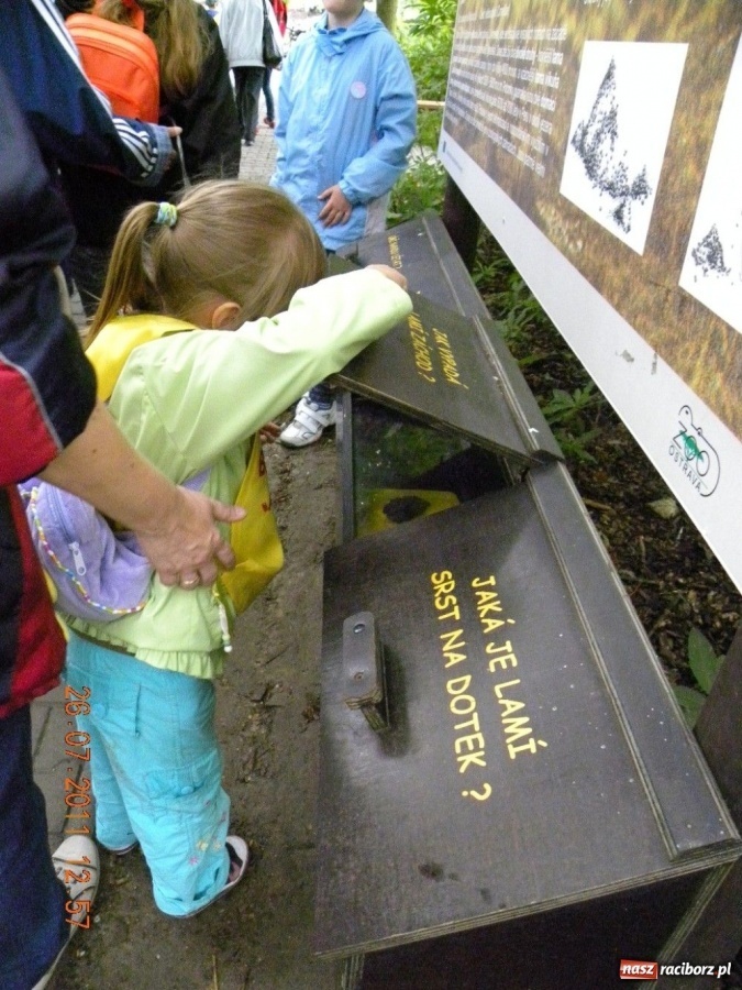 Zdjęcie w galerii na portalu naszraciborz.pl: Ostrawskie safari wiadomości z regionu