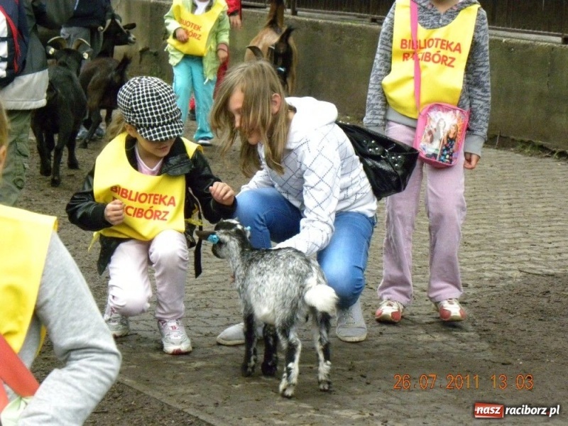Zdjęcie w galerii na portalu naszraciborz.pl: Ostrawskie safari wiadomości z regionu