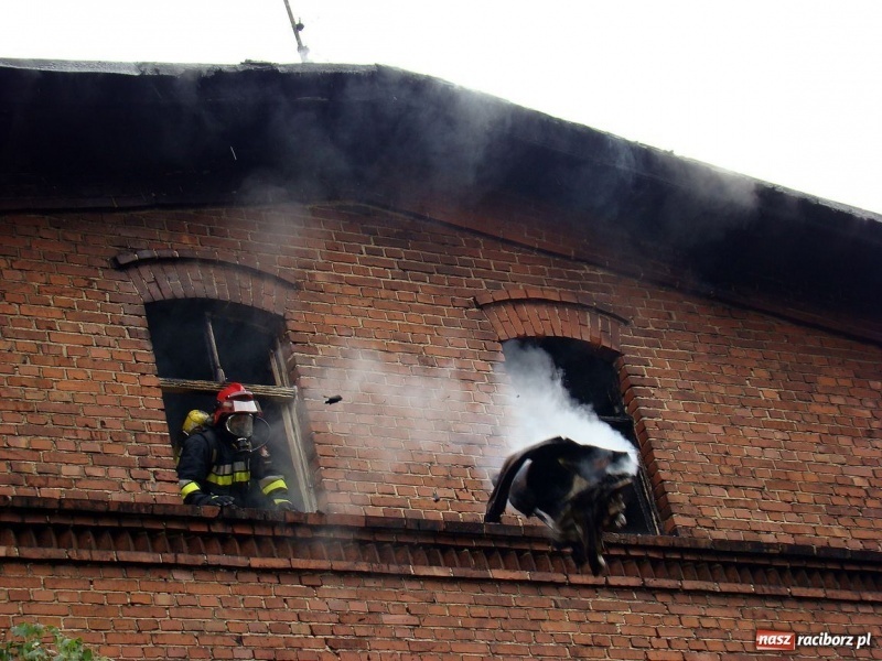 Zdjęcie w galerii na portalu naszraciborz.pl: Pożar w budynku przy Kolejowej wiadomości z regionu