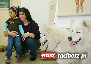 Zdjęcie w galerii na portalu naszraciborz.pl: Najprostsza metoda terapii - dogoterapia wiadomości z regionu