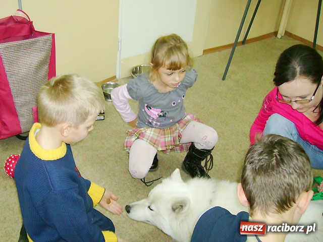 Zdjęcie w galerii na portalu naszraciborz.pl: Najprostsza metoda terapii - dogoterapia wiadomości z regionu