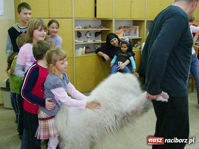 Zdjęcie w galerii na portalu naszraciborz.pl: Najprostsza metoda terapii - dogoterapia wiadomości z regionu