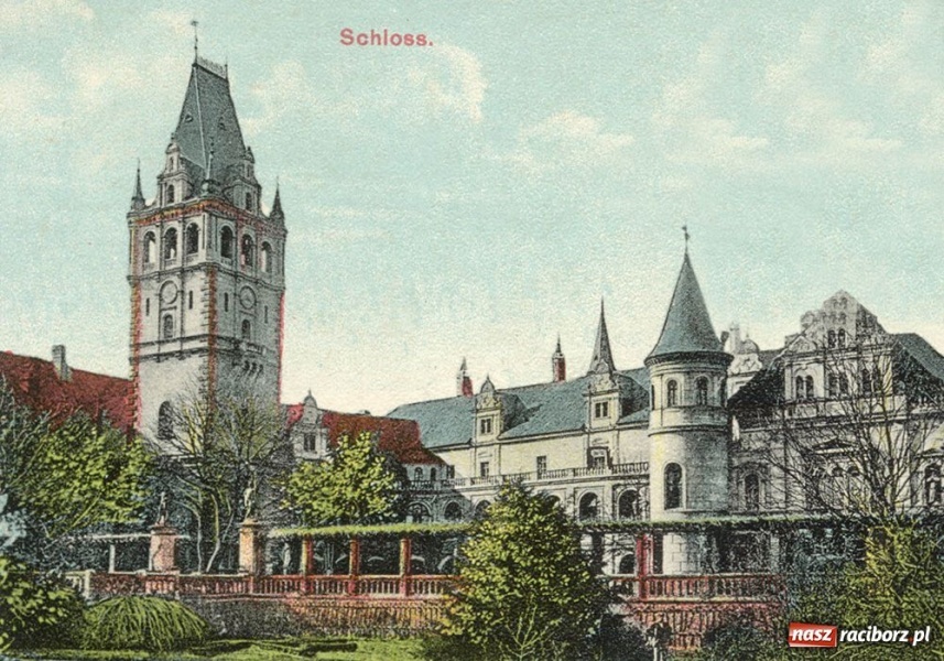 Zdjęcie w galerii na portalu naszraciborz.pl: Tajemnicze gniazdo sowy wiadomości z regionu