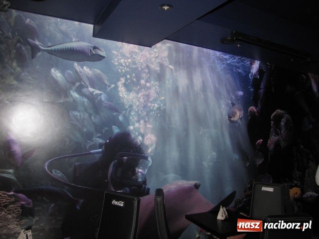 Zdjęcie w galerii na portalu naszraciborz.pl: Atlantyda - klub z ikrą wiadomości z regionu