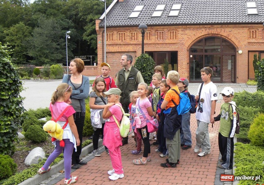 Zdjęcie w galerii na portalu naszraciborz.pl: Afrykańskie lato w śląskim lesie wiadomości z regionu