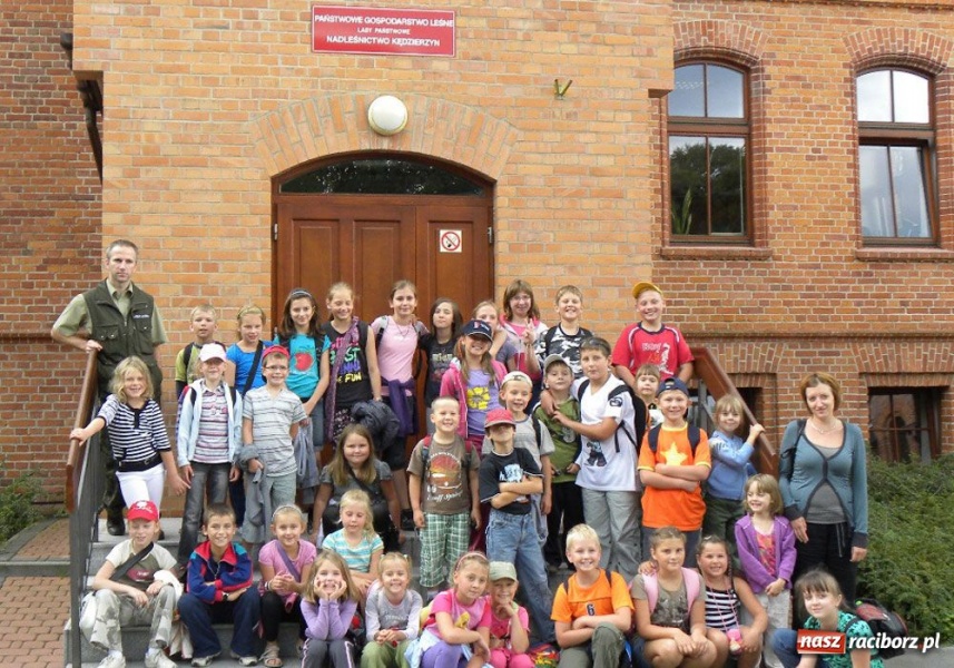 Zdjęcie w galerii na portalu naszraciborz.pl: Afrykańskie lato w śląskim lesie wiadomości z regionu