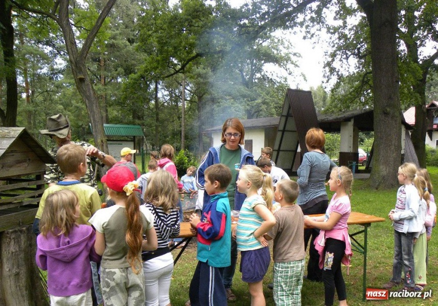 Zdjęcie w galerii na portalu naszraciborz.pl: Afrykańskie lato w śląskim lesie wiadomości z regionu