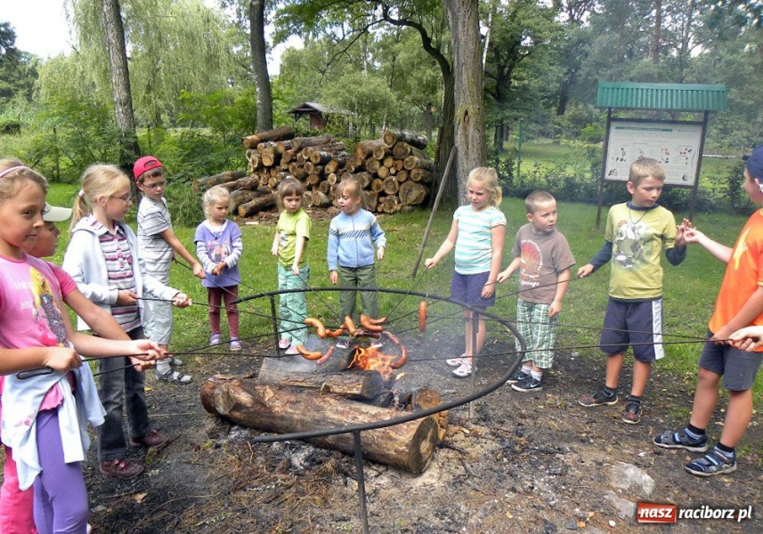 Zdjęcie w galerii na portalu naszraciborz.pl: Afrykańskie lato w śląskim lesie wiadomości z regionu