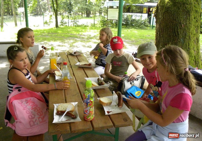 Zdjęcie w galerii na portalu naszraciborz.pl: Afrykańskie lato w śląskim lesie wiadomości z regionu