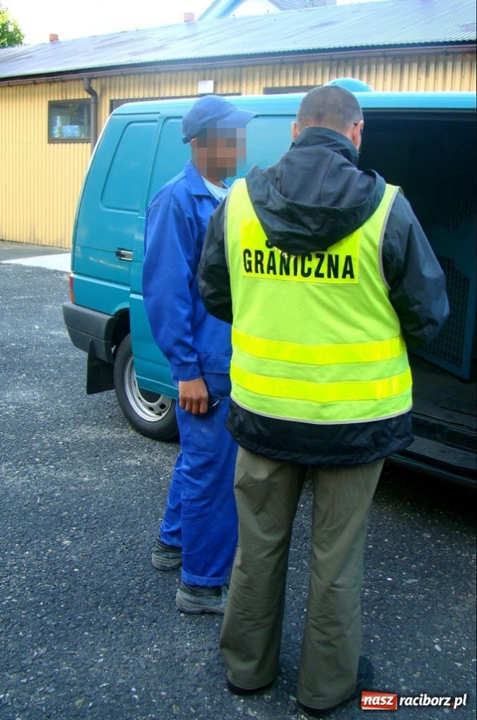 Zdjęcie w galerii na portalu naszraciborz.pl: ŚOSG: 4 cudzoziemców pracowało nielegalnie wiadomości z regionu
