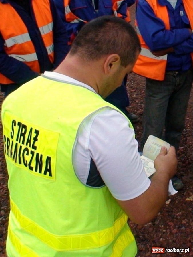 Zdjęcie w galerii na portalu naszraciborz.pl: ŚOSG: 4 cudzoziemców pracowało nielegalnie wiadomości z regionu