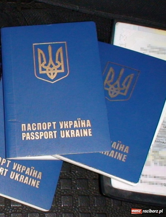 Zdjęcie w galerii na portalu naszraciborz.pl: ŚOSG: 4 cudzoziemców pracowało nielegalnie wiadomości z regionu