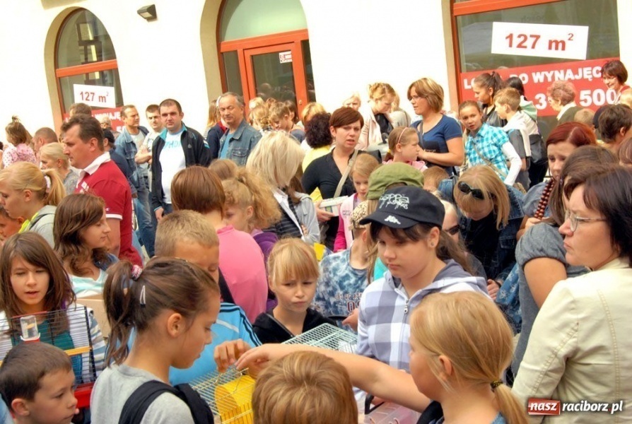 Zdjęcie w galerii na portalu naszraciborz.pl: Speedway gryzoni Zoo Maru wiadomości z regionu