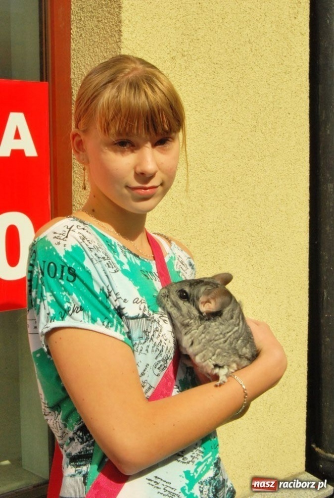 Zdjęcie w galerii na portalu naszraciborz.pl: Speedway gryzoni Zoo Maru wiadomości z regionu