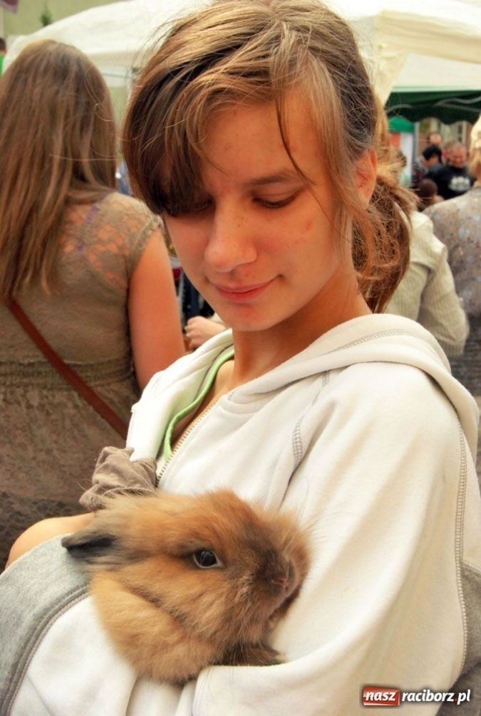 Zdjęcie w galerii na portalu naszraciborz.pl: Speedway gryzoni Zoo Maru wiadomości z regionu