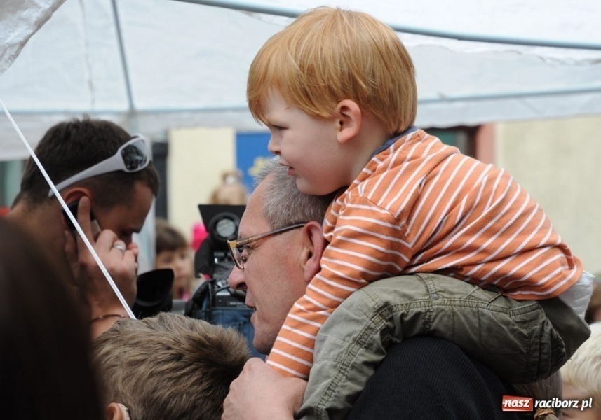 Zdjęcie w galerii na portalu naszraciborz.pl: Speedway gryzoni Zoo Maru wiadomości z regionu
