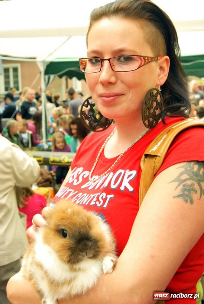 Zdjęcie w galerii na portalu naszraciborz.pl: Speedway gryzoni Zoo Maru wiadomości z regionu