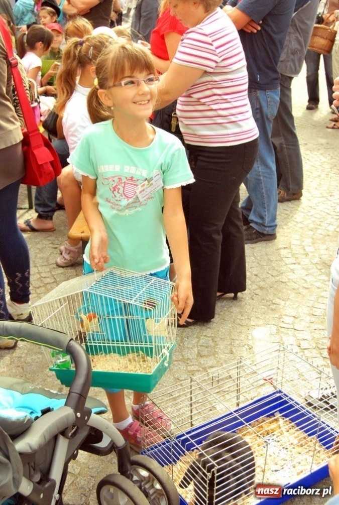 Zdjęcie w galerii na portalu naszraciborz.pl: Speedway gryzoni Zoo Maru wiadomości z regionu