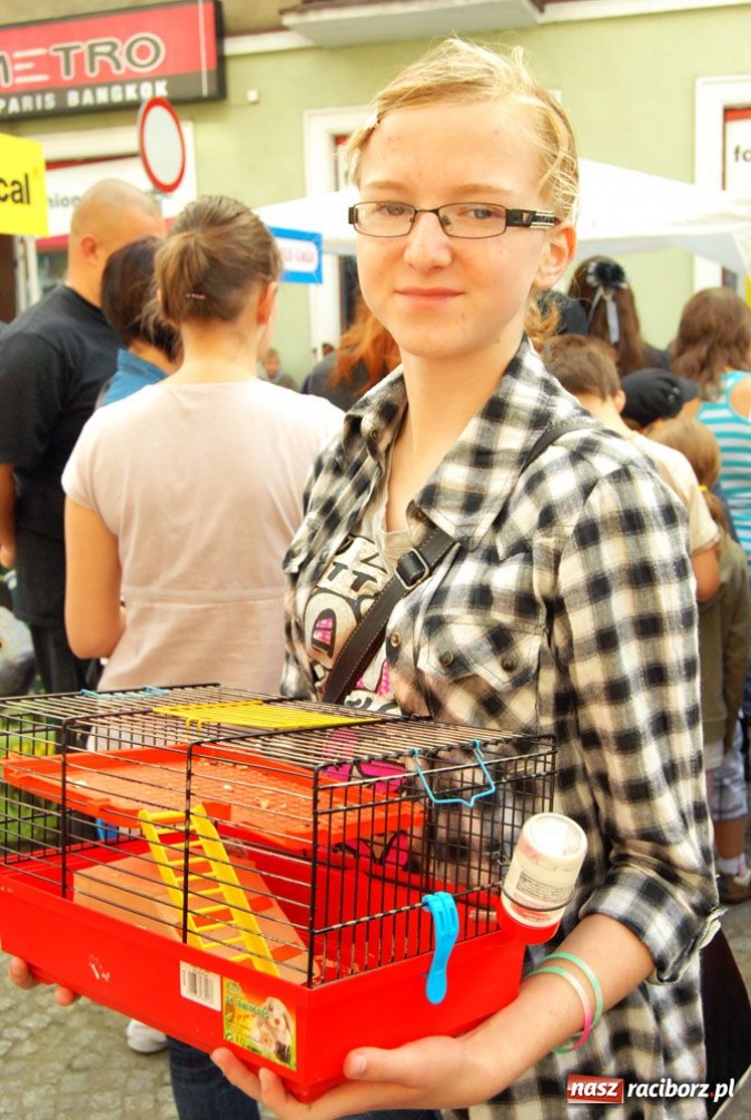 Zdjęcie w galerii na portalu naszraciborz.pl: Speedway gryzoni Zoo Maru wiadomości z regionu