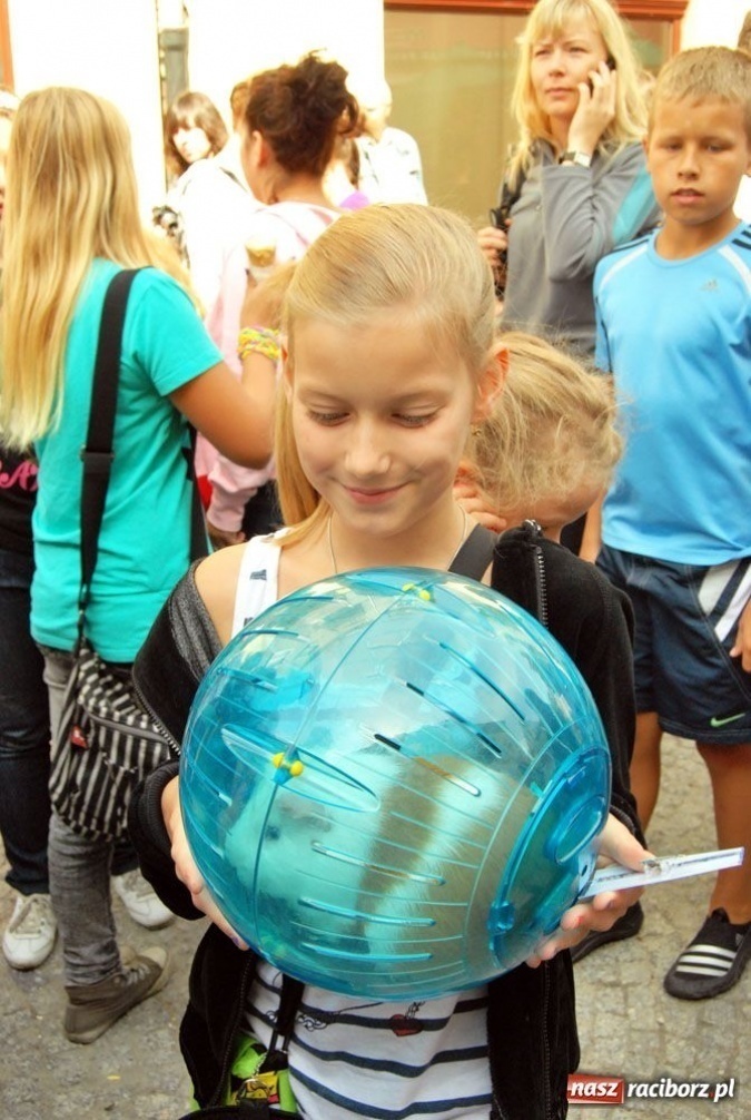 Zdjęcie w galerii na portalu naszraciborz.pl: Speedway gryzoni Zoo Maru wiadomości z regionu