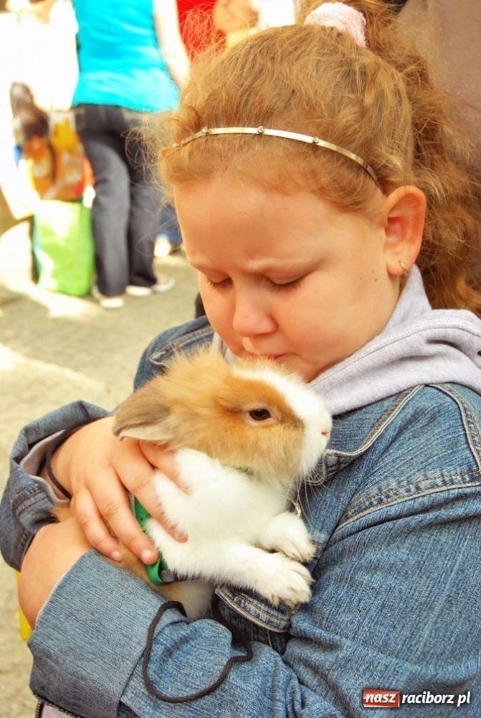 Zdjęcie w galerii na portalu naszraciborz.pl: Speedway gryzoni Zoo Maru wiadomości z regionu