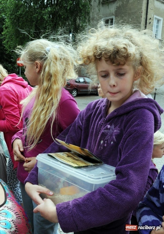 Zdjęcie w galerii na portalu naszraciborz.pl: Speedway gryzoni Zoo Maru wiadomości z regionu