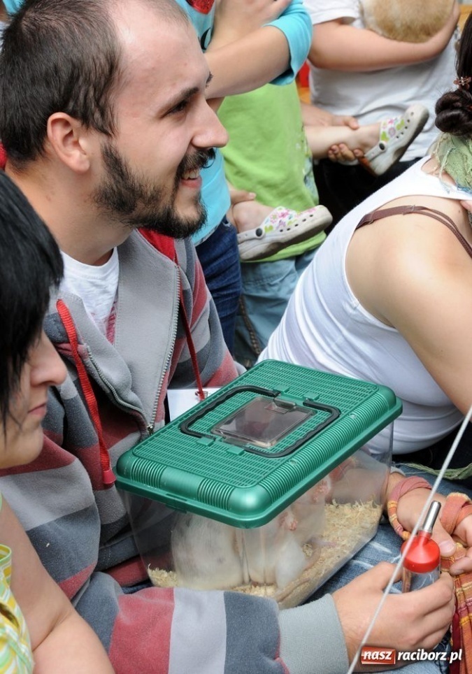 Zdjęcie w galerii na portalu naszraciborz.pl: Speedway gryzoni Zoo Maru wiadomości z regionu