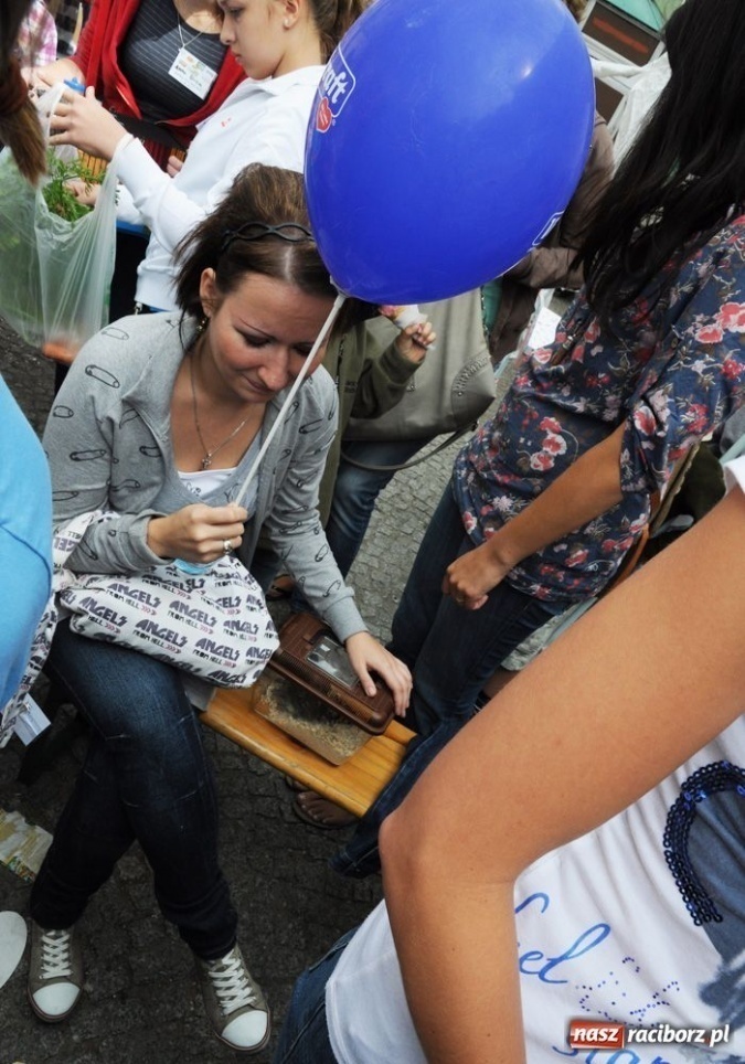 Zdjęcie w galerii na portalu naszraciborz.pl: Speedway gryzoni Zoo Maru wiadomości z regionu