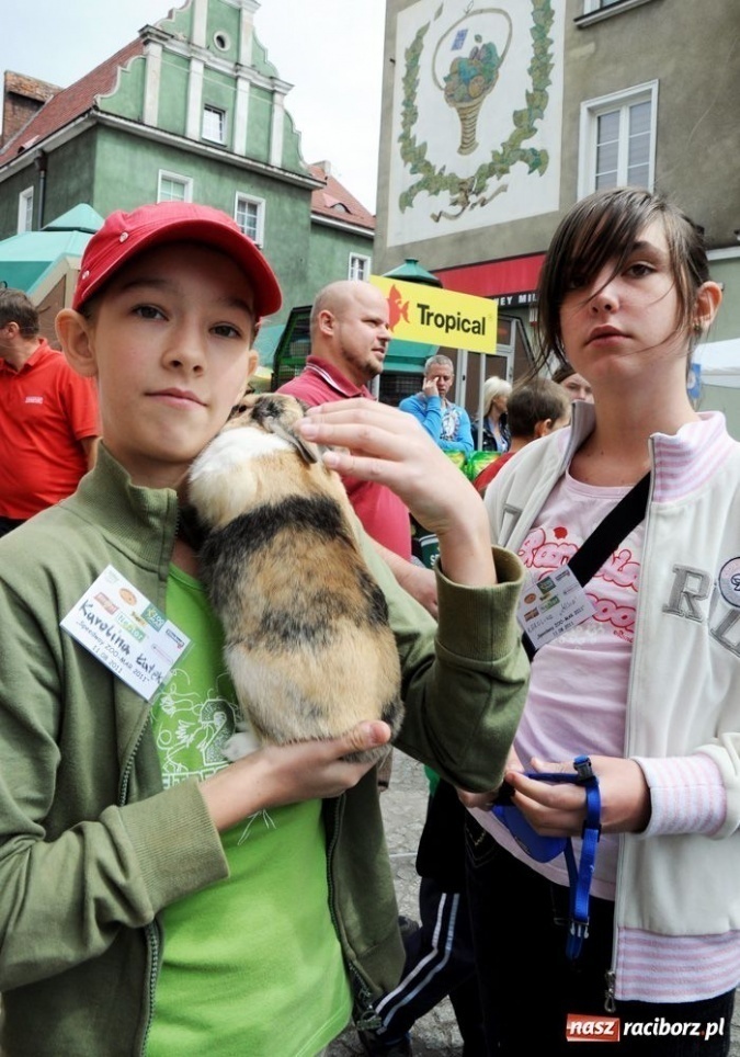 Zdjęcie w galerii na portalu naszraciborz.pl: Speedway gryzoni Zoo Maru wiadomości z regionu