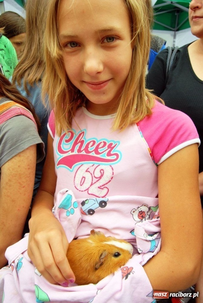 Zdjęcie w galerii na portalu naszraciborz.pl: Speedway gryzoni Zoo Maru wiadomości z regionu