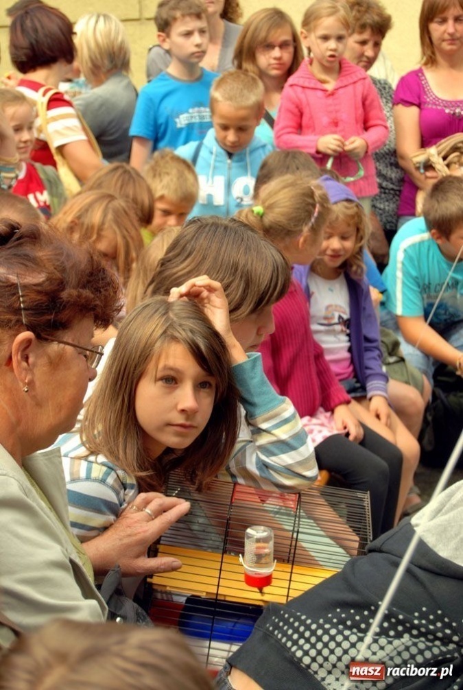 Zdjęcie w galerii na portalu naszraciborz.pl: Speedway gryzoni Zoo Maru wiadomości z regionu